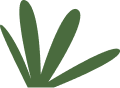 Decorative leaf